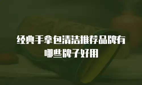 经典手拿包清洁推荐品牌有哪些牌子好用