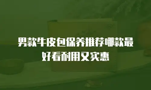 男款牛皮包保养推荐哪款最好看耐用又实惠