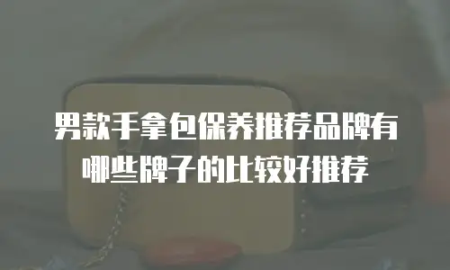 男款手拿包保养推荐品牌有哪些牌子的比较好推荐