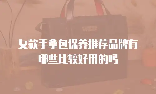 女款手拿包保养推荐品牌有哪些比较好用的吗