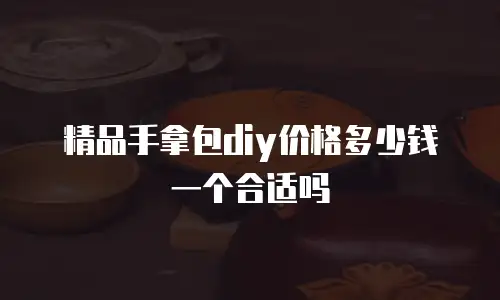 精品手拿包diy价格多少钱一个合适吗