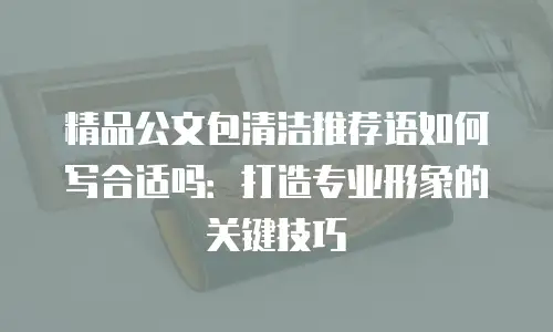 精品公文包清洁推荐语如何写合适吗：打造专业形象的关键技巧