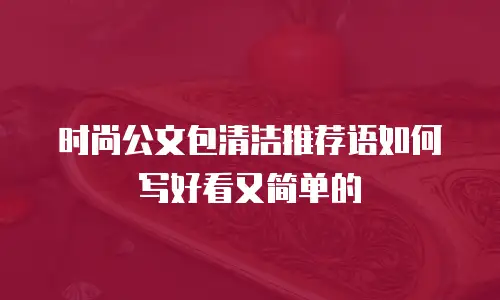 时尚公文包清洁推荐语如何写好看又简单的