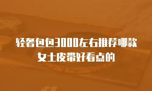 轻奢包包3000左右推荐哪款女士皮带好看点的