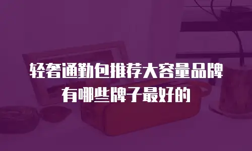 轻奢通勤包推荐大容量品牌有哪些牌子最好的
