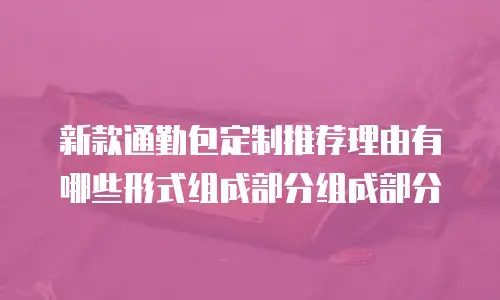 新款通勤包定制推荐理由有哪些形式组成部分组成部分