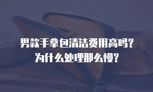 男款手拿包清洁费用高吗？为什么处理那么慢？