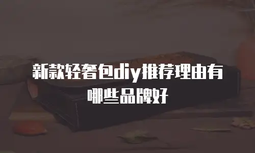 新款轻奢包diy推荐理由有哪些品牌好