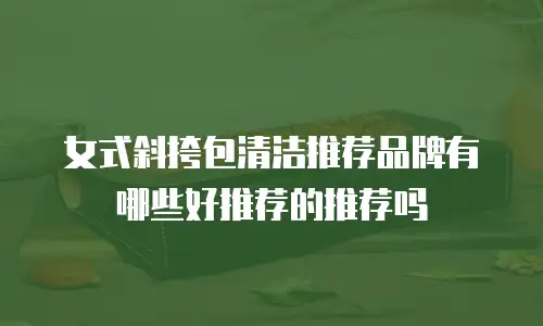 女式斜挎包清洁推荐品牌有哪些好推荐的推荐吗