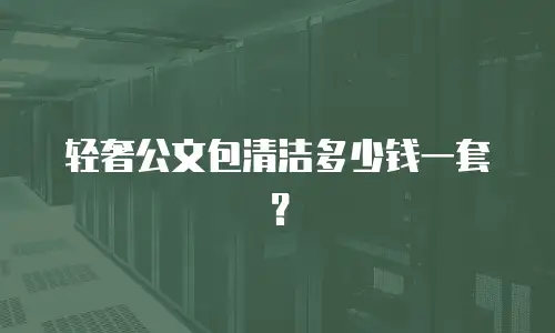 轻奢公文包清洁多少钱一套？