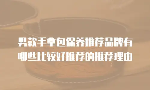 男款手拿包保养推荐品牌有哪些比较好推荐的推荐理由