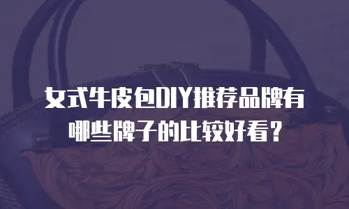女式牛皮包DIY推荐品牌有哪些牌子的比较好看？