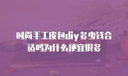 时尚手工皮包diy多少钱合适吗为什么便宜很多