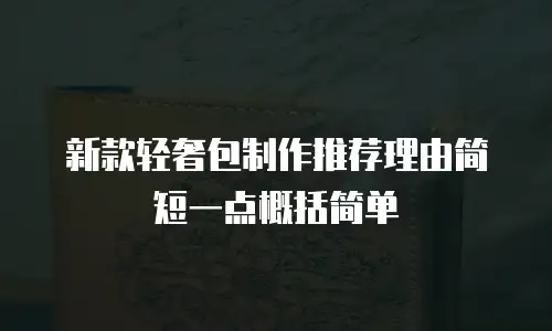 新款轻奢包制作推荐理由简短一点概括简单