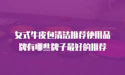 女式牛皮包清洁推荐使用品牌有哪些牌子最好的推荐
