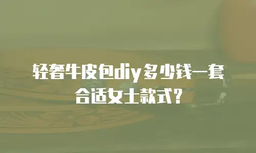 轻奢牛皮包diy多少钱一套合适女士款式？