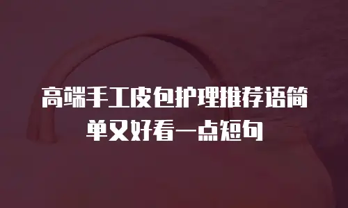 高端手工皮包护理推荐语简单又好看一点短句