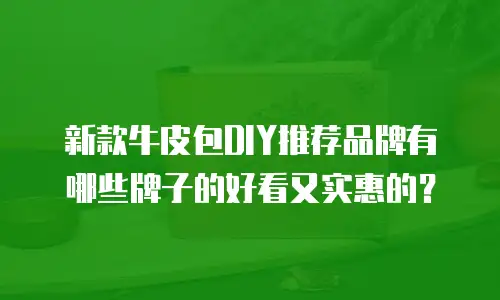 新款牛皮包DIY推荐品牌有哪些牌子的好看又实惠的？