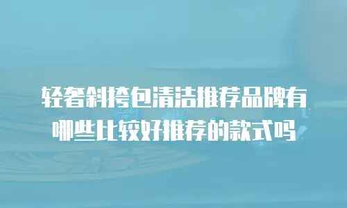 轻奢斜挎包清洁推荐品牌有哪些比较好推荐的款式吗