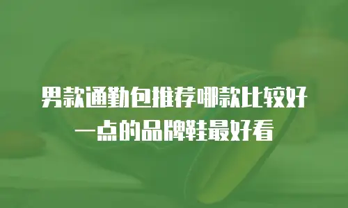 男款通勤包推荐哪款比较好一点的品牌鞋最好看
