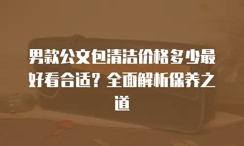 男款公文包清洁价格多少最好看合适？全面解析保养之道