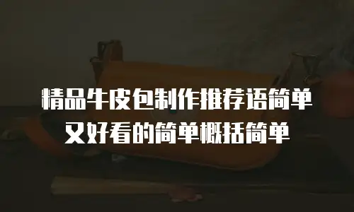 精品牛皮包制作推荐语简单又好看的简单概括简单
