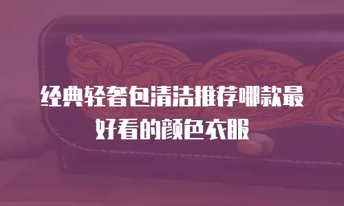 经典轻奢包清洁推荐哪款最好看的颜色衣服
