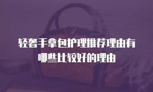 轻奢手拿包护理推荐理由有哪些比较好的理由
