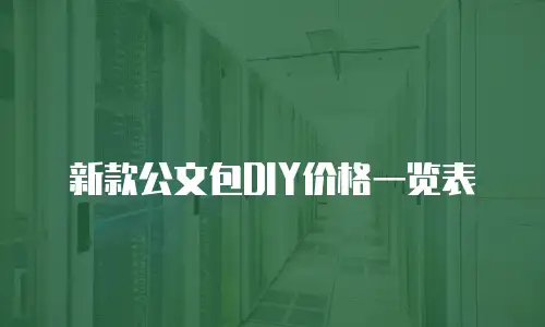 新款公文包DIY价格一览表