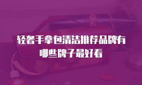 轻奢手拿包清洁推荐品牌有哪些牌子最好看