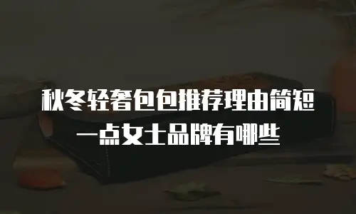秋冬轻奢包包推荐理由简短一点女士品牌有哪些
