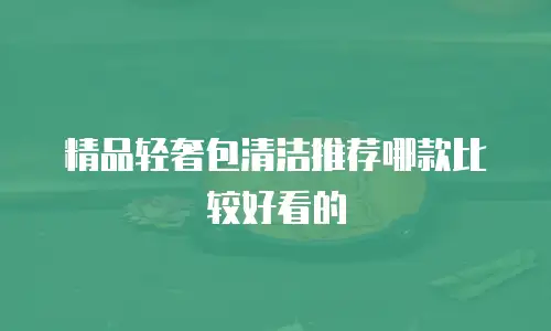 精品轻奢包清洁推荐哪款比较好看的