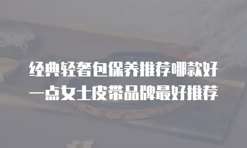 经典轻奢包保养推荐哪款好一点女士皮带品牌最好推荐