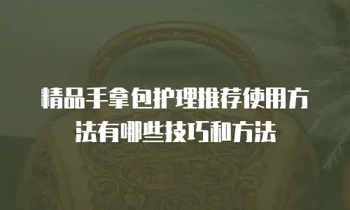 精品手拿包护理推荐使用方法有哪些技巧和方法