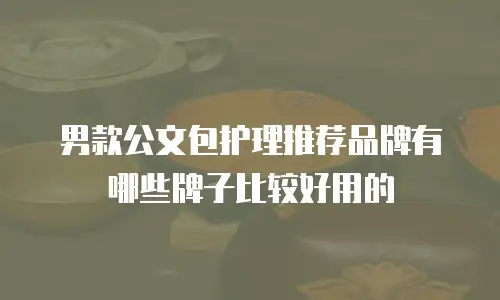 男款公文包护理推荐品牌有哪些牌子比较好用的