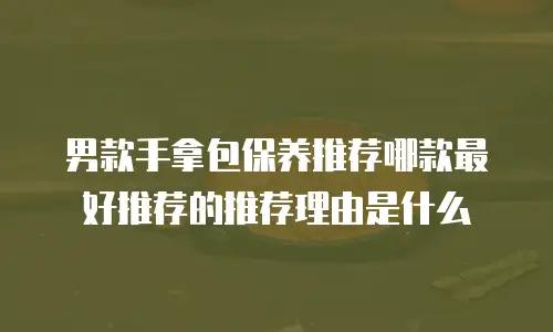 男款手拿包保养推荐哪款最好推荐的推荐理由是什么