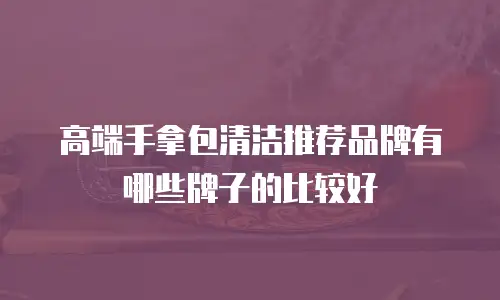 高端手拿包清洁推荐品牌有哪些牌子的比较好