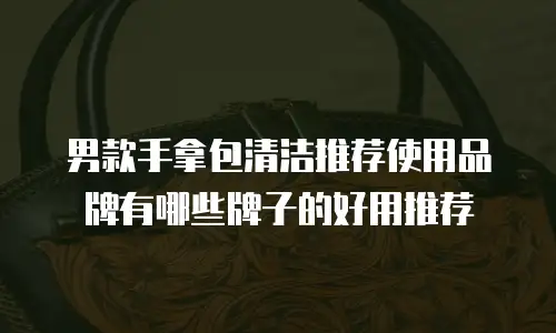 男款手拿包清洁推荐使用品牌有哪些牌子的好用推荐