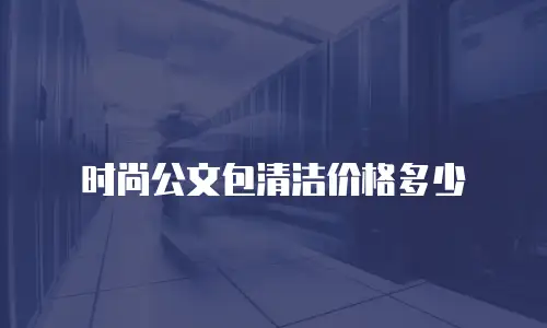 时尚公文包清洁价格多少
