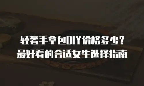 轻奢手拿包DIY价格多少？最好看的合适女生选择指南