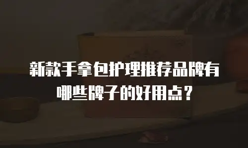 新款手拿包护理推荐品牌有哪些牌子的好用点？