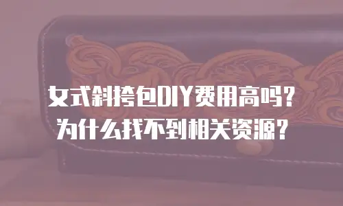 女式斜挎包DIY费用高吗？为什么找不到相关资源？
