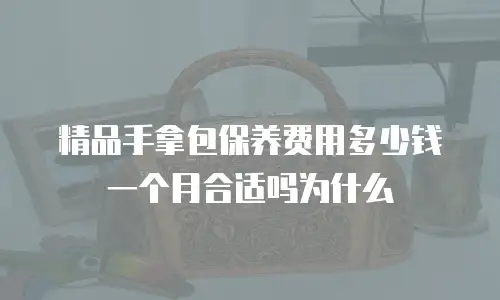 精品手拿包保养费用多少钱一个月合适吗为什么