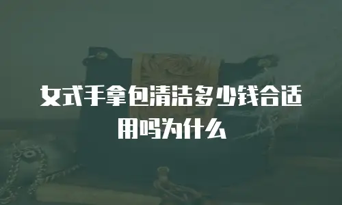 女式手拿包清洁多少钱合适用吗为什么