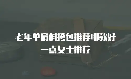 老年单肩斜挎包推荐哪款好一点女士推荐