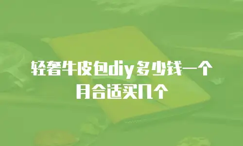 轻奢牛皮包diy多少钱一个月合适买几个