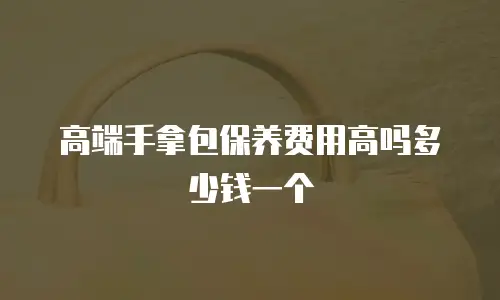 高端手拿包保养费用高吗多少钱一个