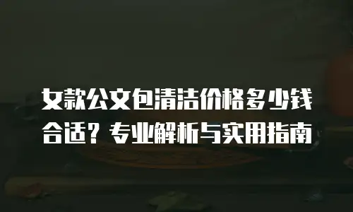 女款公文包清洁价格多少钱合适？专业解析与实用指南