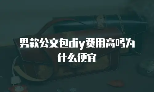 男款公文包diy费用高吗为什么便宜