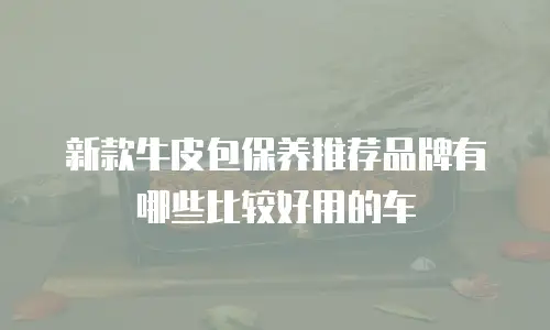 新款牛皮包保养推荐品牌有哪些比较好用的车